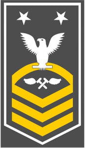 Shop for your White with Gold Stripes Sticker Decal Aviation Structural Mechanic Master Chief (AMMC) at Arizona Black Mesa.